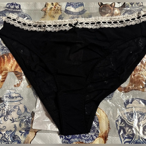 NWT Free People Intimately So Sweet Bikini Panty Mesh Brief Underwear XL - Picture 1 of 3